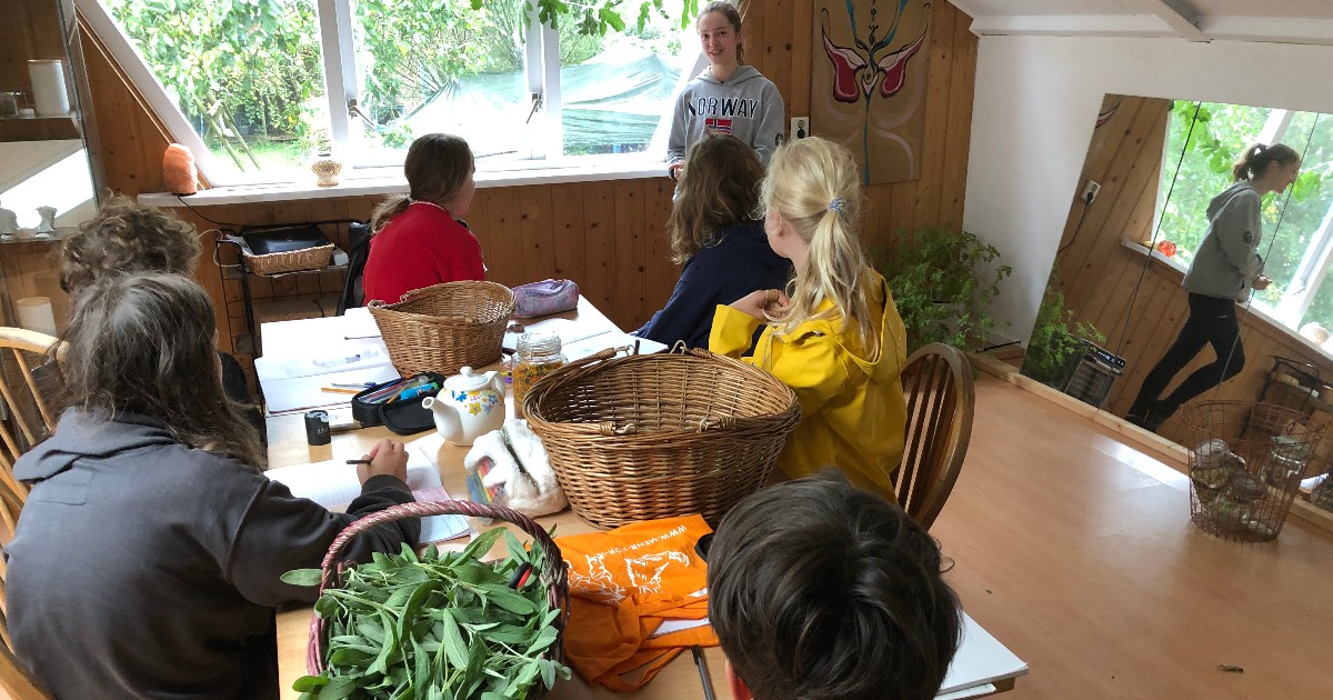 Leerlingen werken mee op biologisch bedrijf De Zonnehorst in Punthorst
