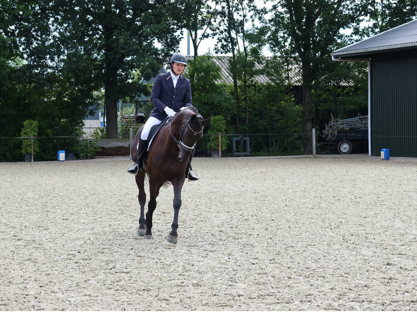 Dressuurweekend bij Hippisch Nieuwleusen