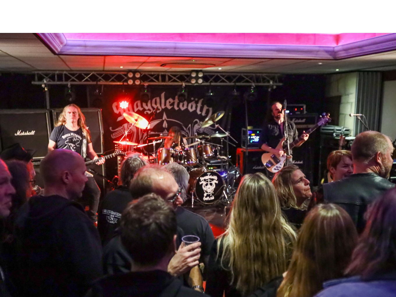 Meezingen en headbangen tijdens Palthepop