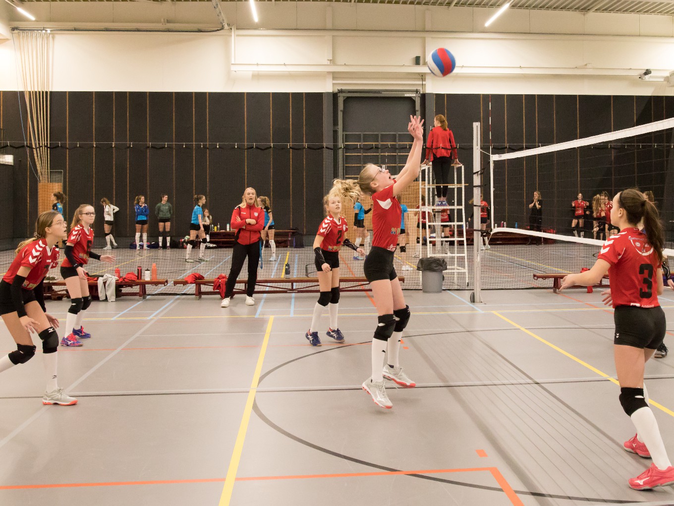 Volleybalvereniging Flash Nieuwleusen organiseert cake-actie