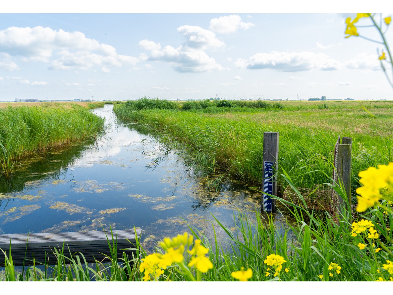 een excursie door het gebied is onderdeel van de cursus. Foto: WDODelta.