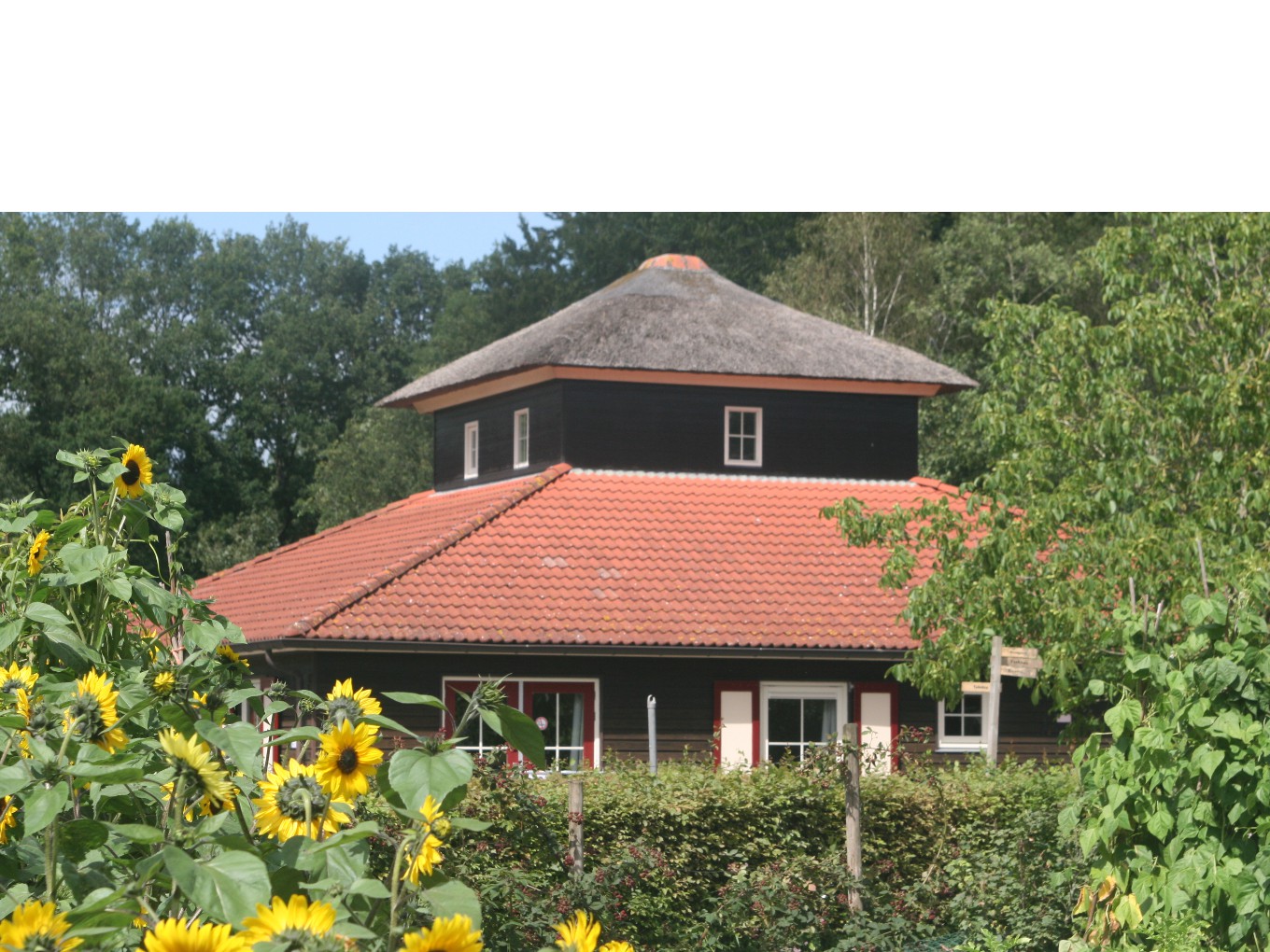 Plantenruilbeurs bij Natuurboerderij Lindehoeve in Dalfsen