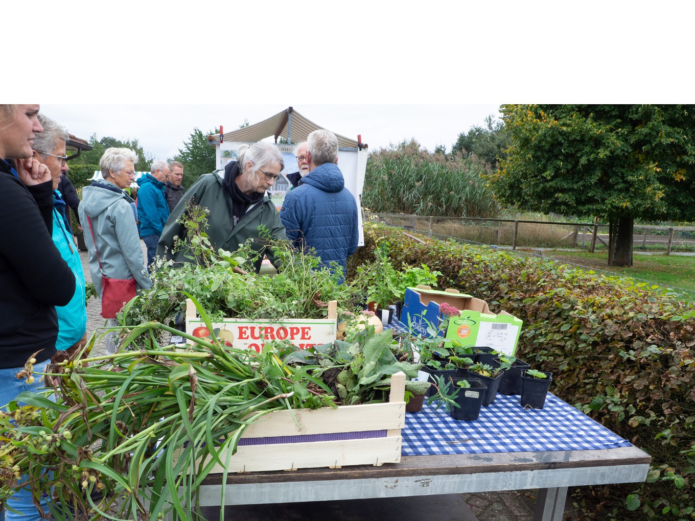 Rondje Groen, doen! bij Natuurboerderij Lindehoeve in Dalfsen