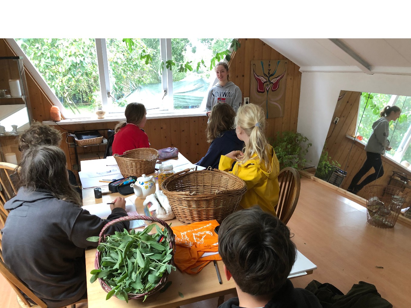 Leerlingen werken mee op biologisch bedrijf De Zonnehorst in Punthorst
