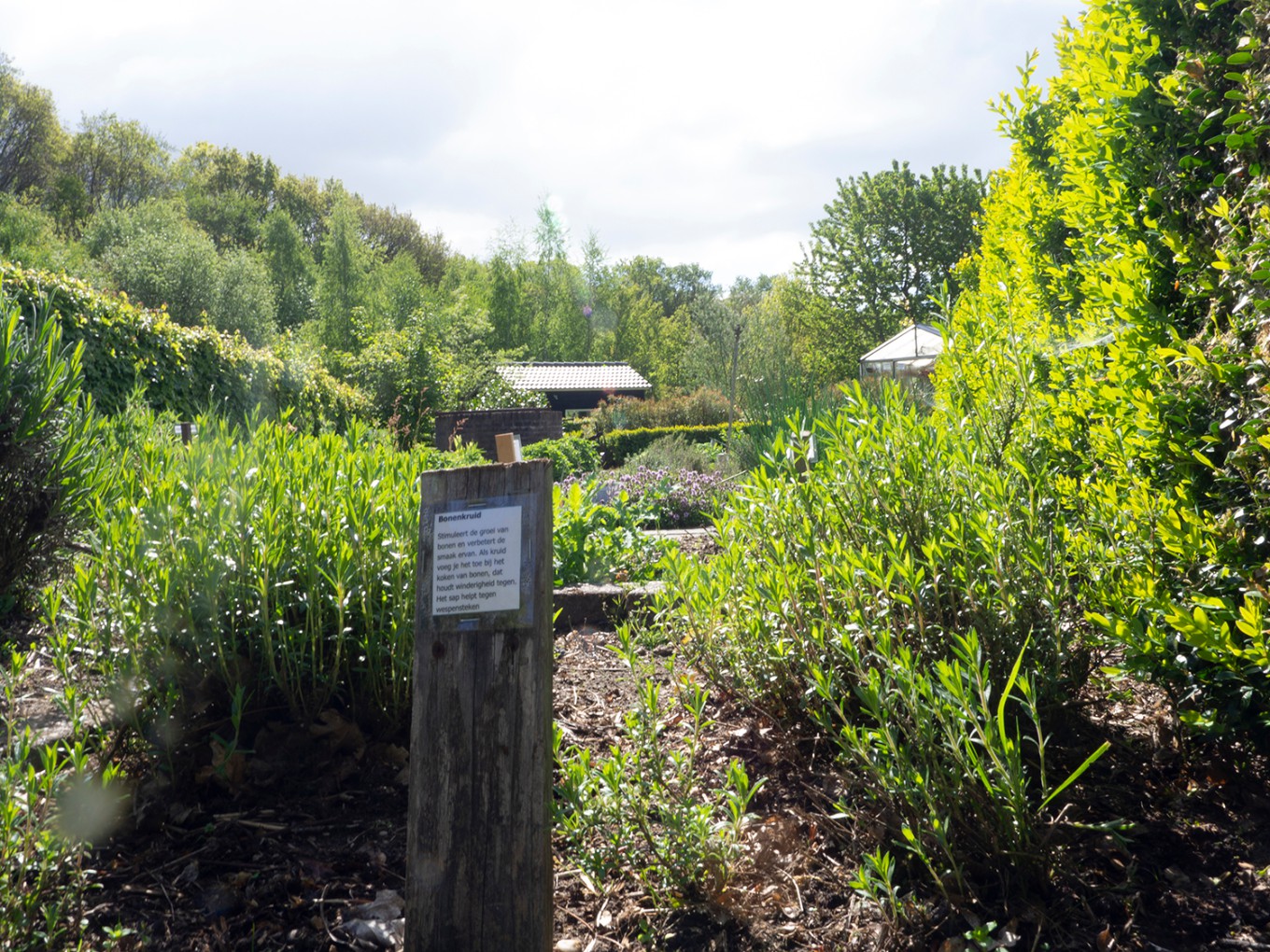 Natuurboerderij Dalfsen start met zadenbibliotheek