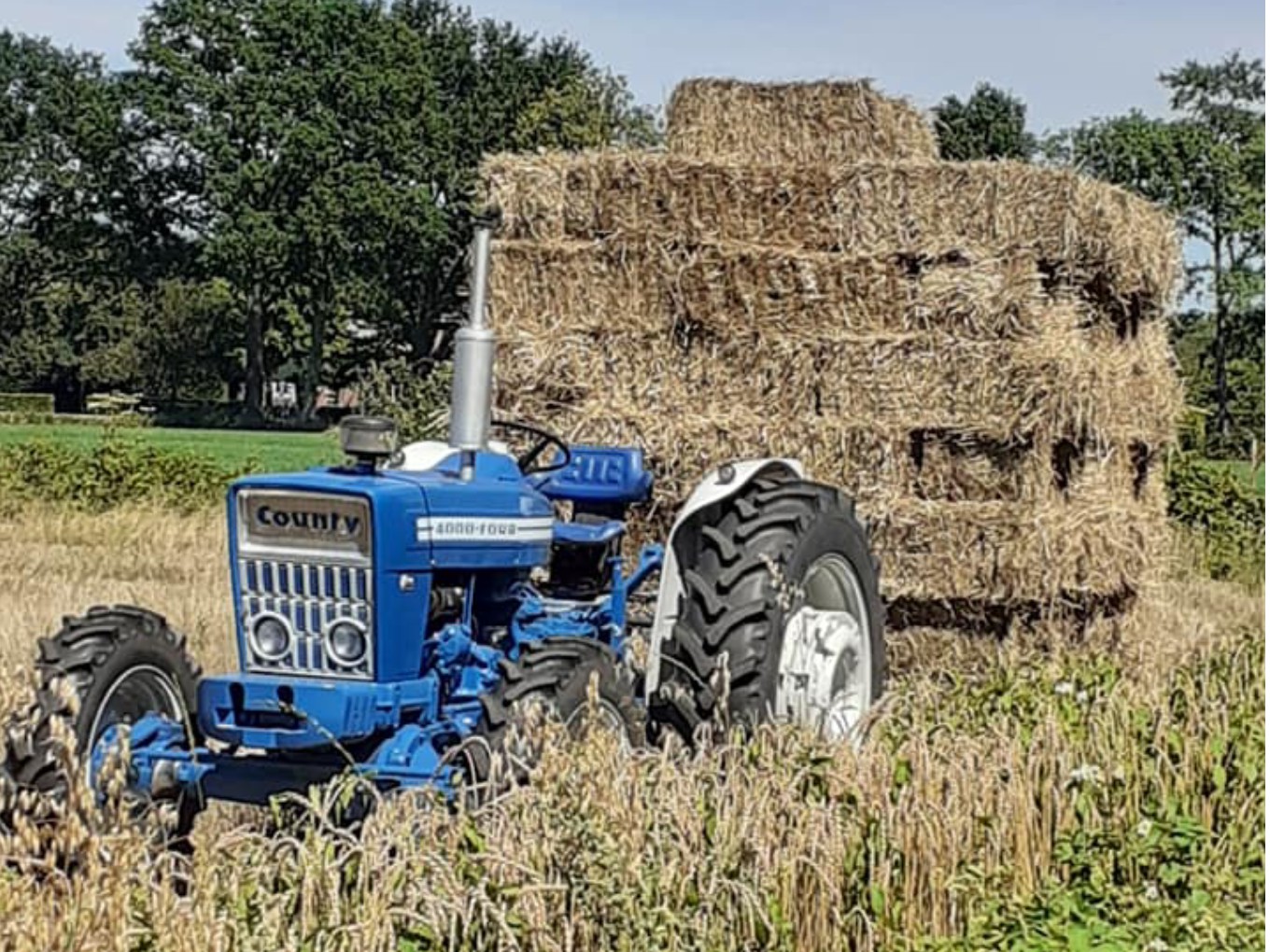 Nieuwleusener spelt verwerkt tot echt lokale producten