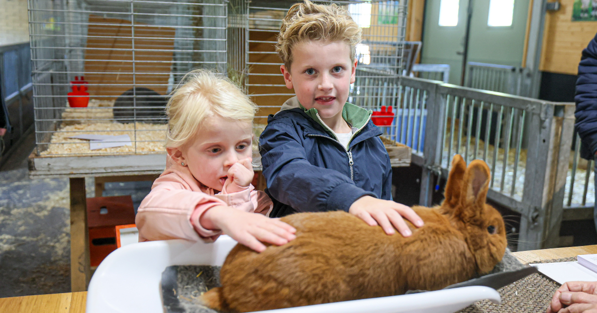 Clubtentoonstelling NKV bij Natuurboerderij BalkInn in Nieuwleusen