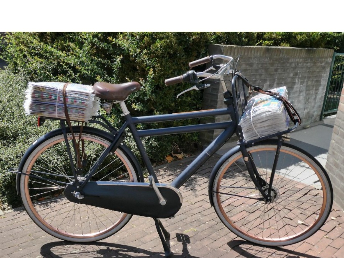 bron foto: Elsemargriet, Pixaby.