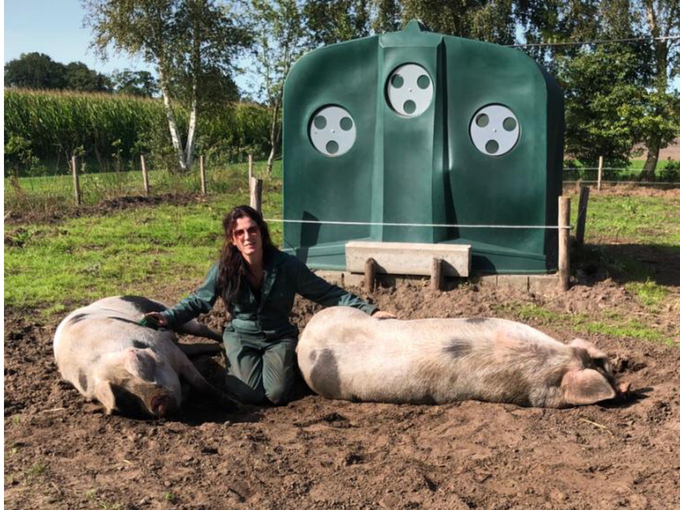 Varkens knuffelen bij de Knorrepot