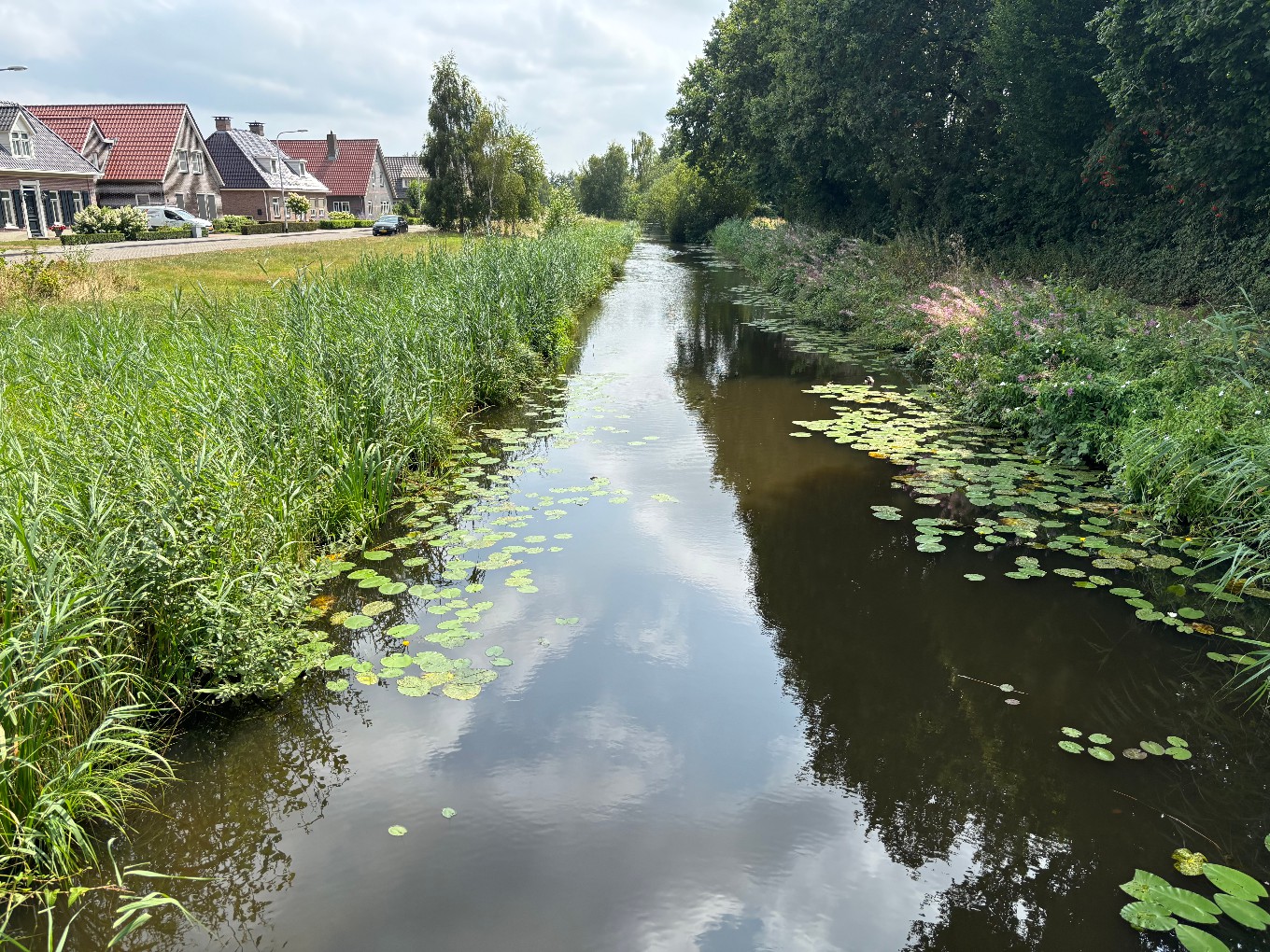 Nieuwleusen Synergie doet mee aan schoonmaakactie