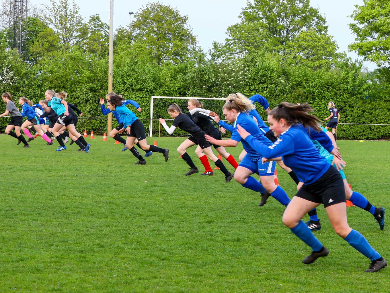 Gratis sporten voor volwassenen in Dalfsen