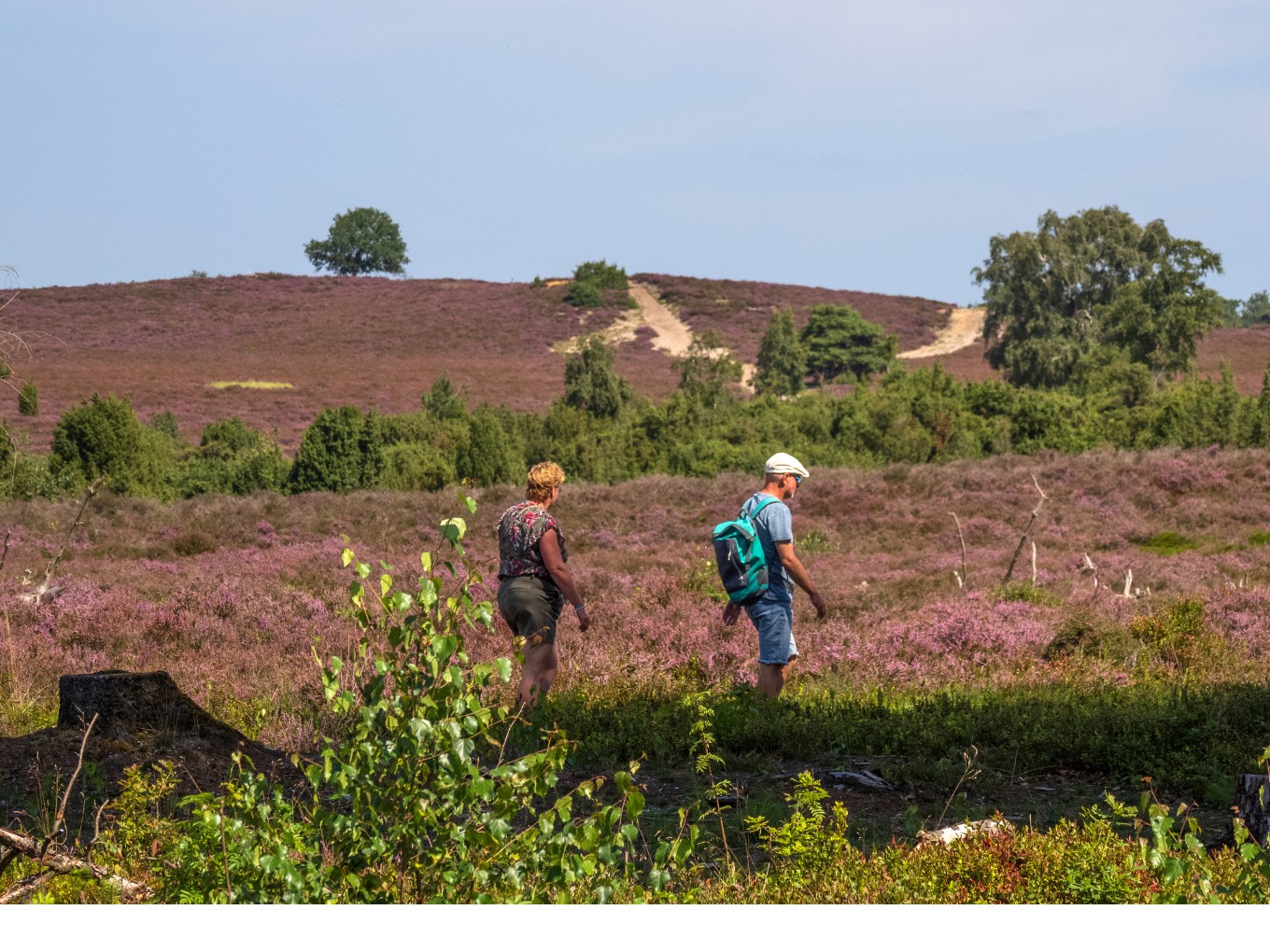 Landschap Overijssel, foto: Nico Kloek.