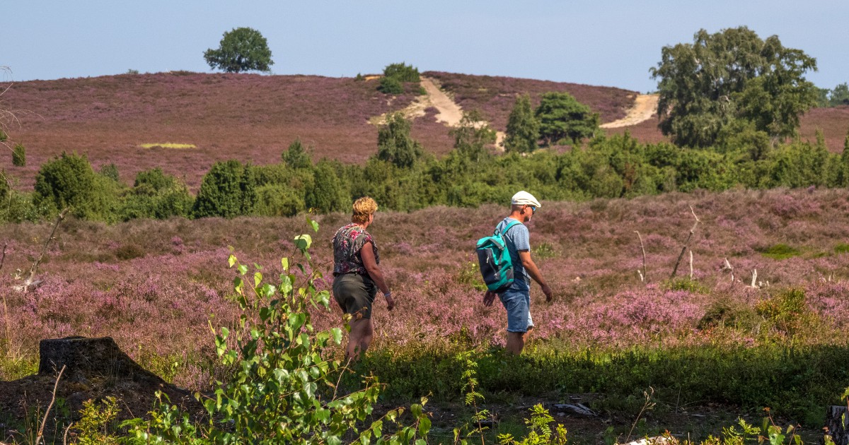 Excursie Landschap Overijssel: Ontdek de Lemelerberg