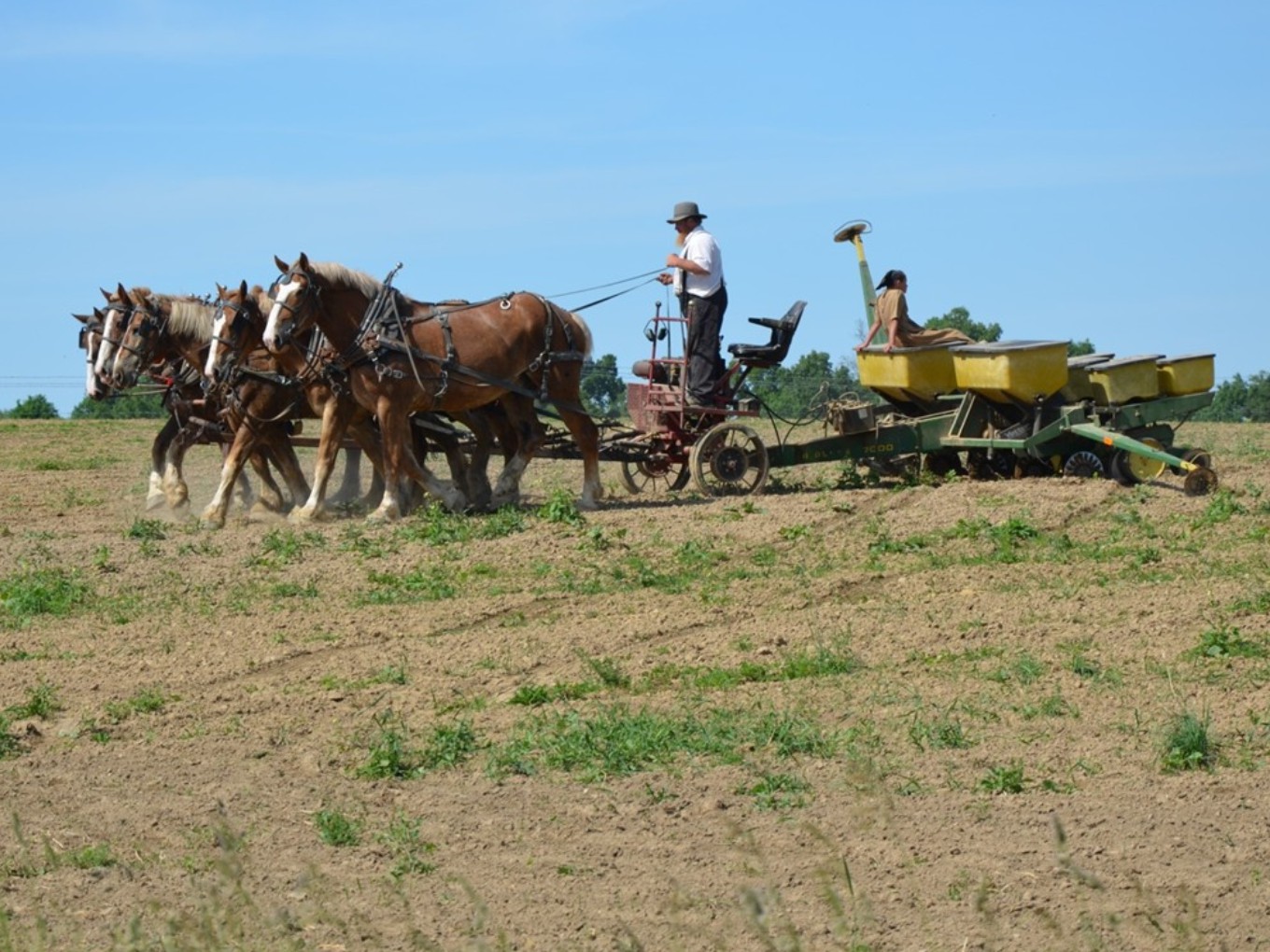 Lezing over Amish in VerhalenCafé Nieuwleusen