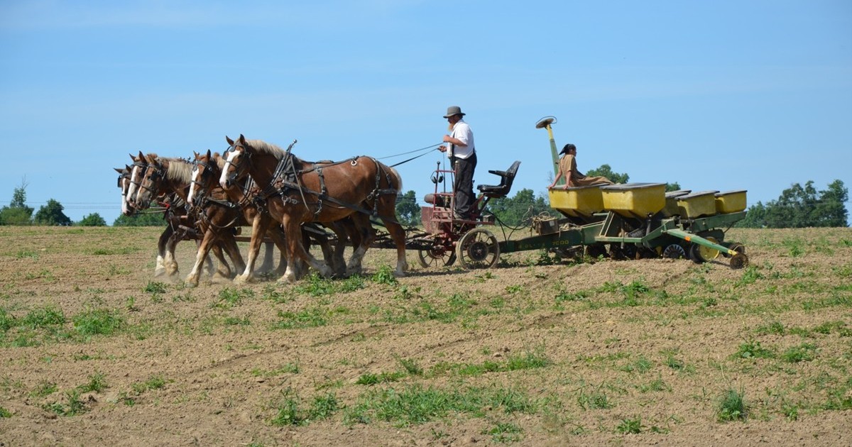 Lezing over Amish in VerhalenCafé Nieuwleusen