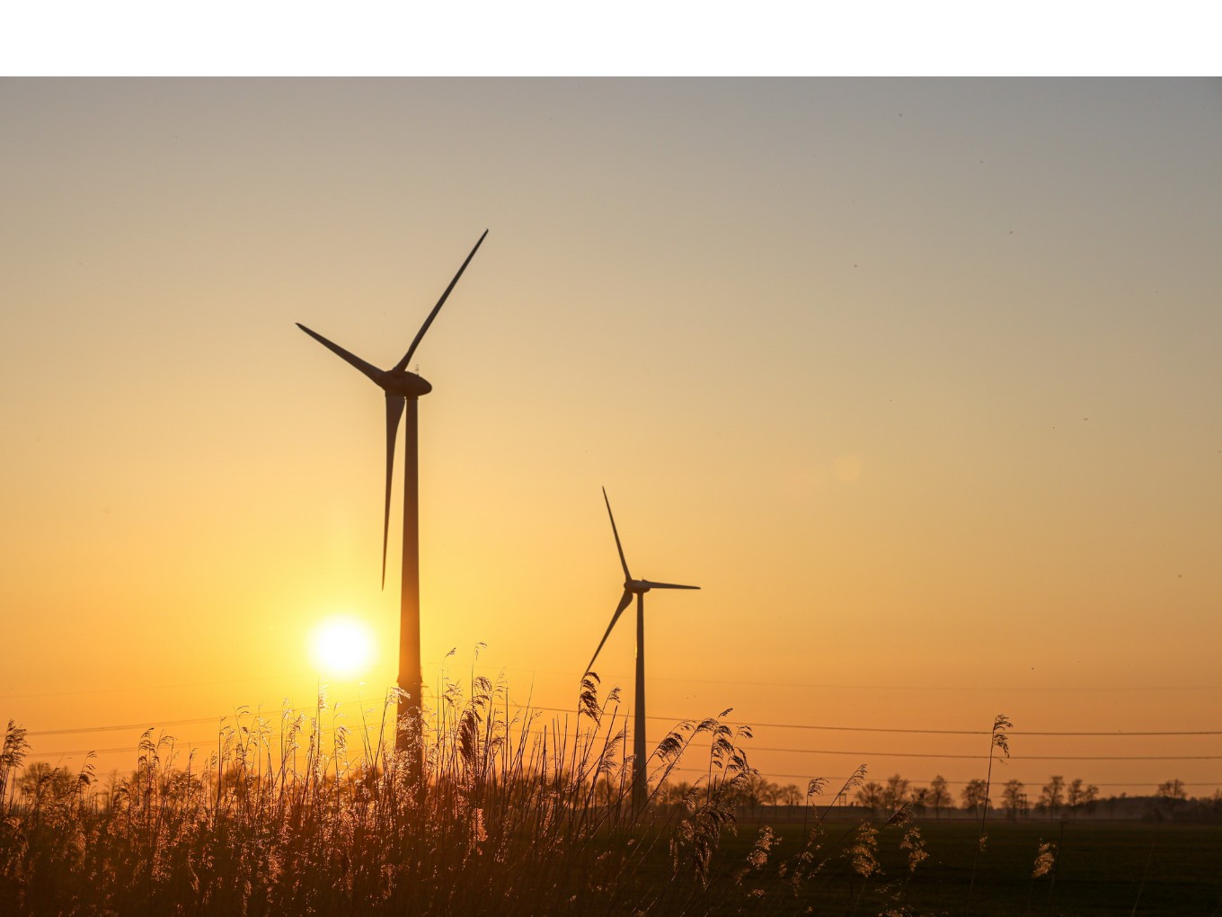 Nieuwe windmolens draaien nog niet in Nieuwleusen