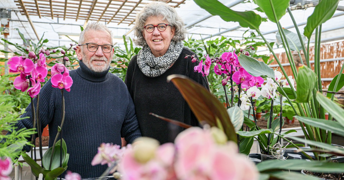 Bloemisterij Stegerman sluit de winkel in Nieuwleusen