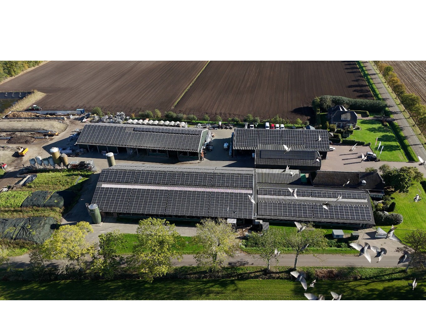 Buurtzonnepark Vinkenbuurt Stroomt, met spreeuwen erboven.