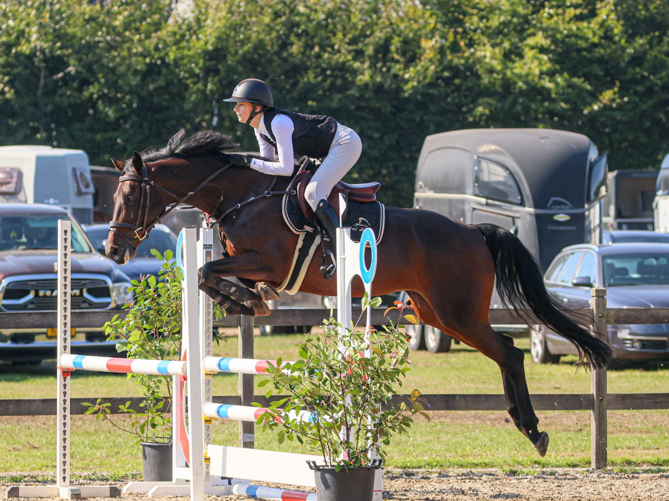 Hippisch Nieuwleusen organiseert zomer springconcours