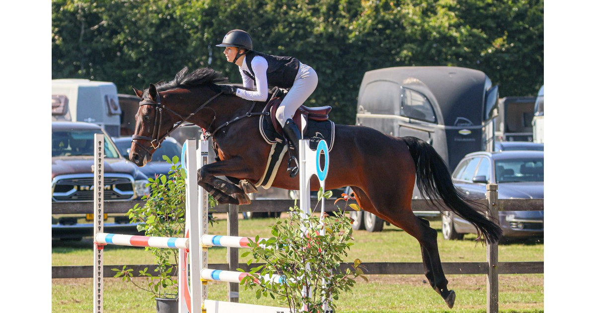 Hippisch Nieuwleusen organiseert zomer springconcours