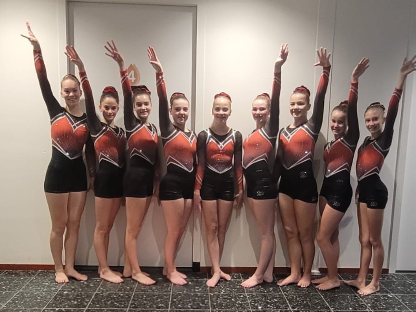 Turnsters Gymnastiekvereniging Nieuwleusen door naar NK