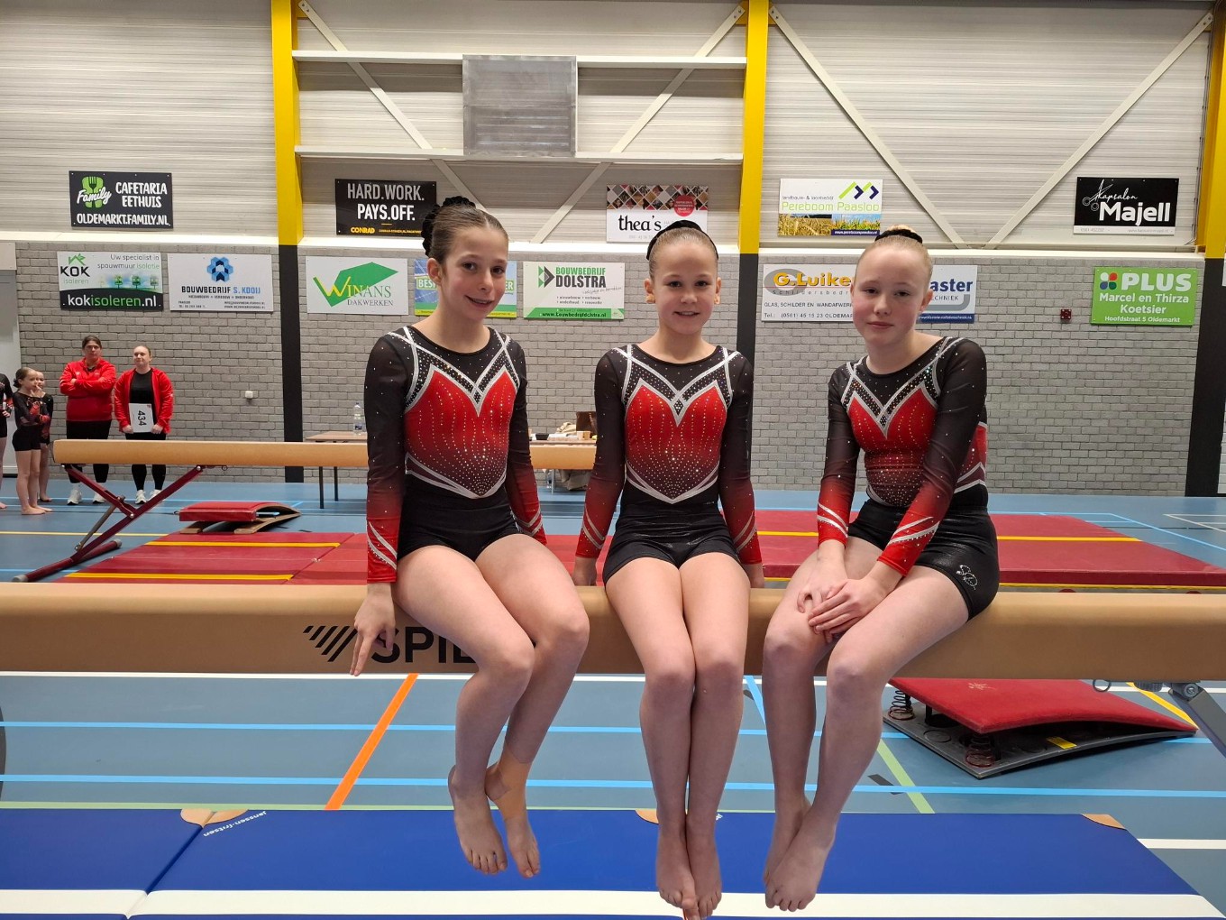 Vierde plaats voor turnsters Gymnastiekvereniging Nieuwleusen