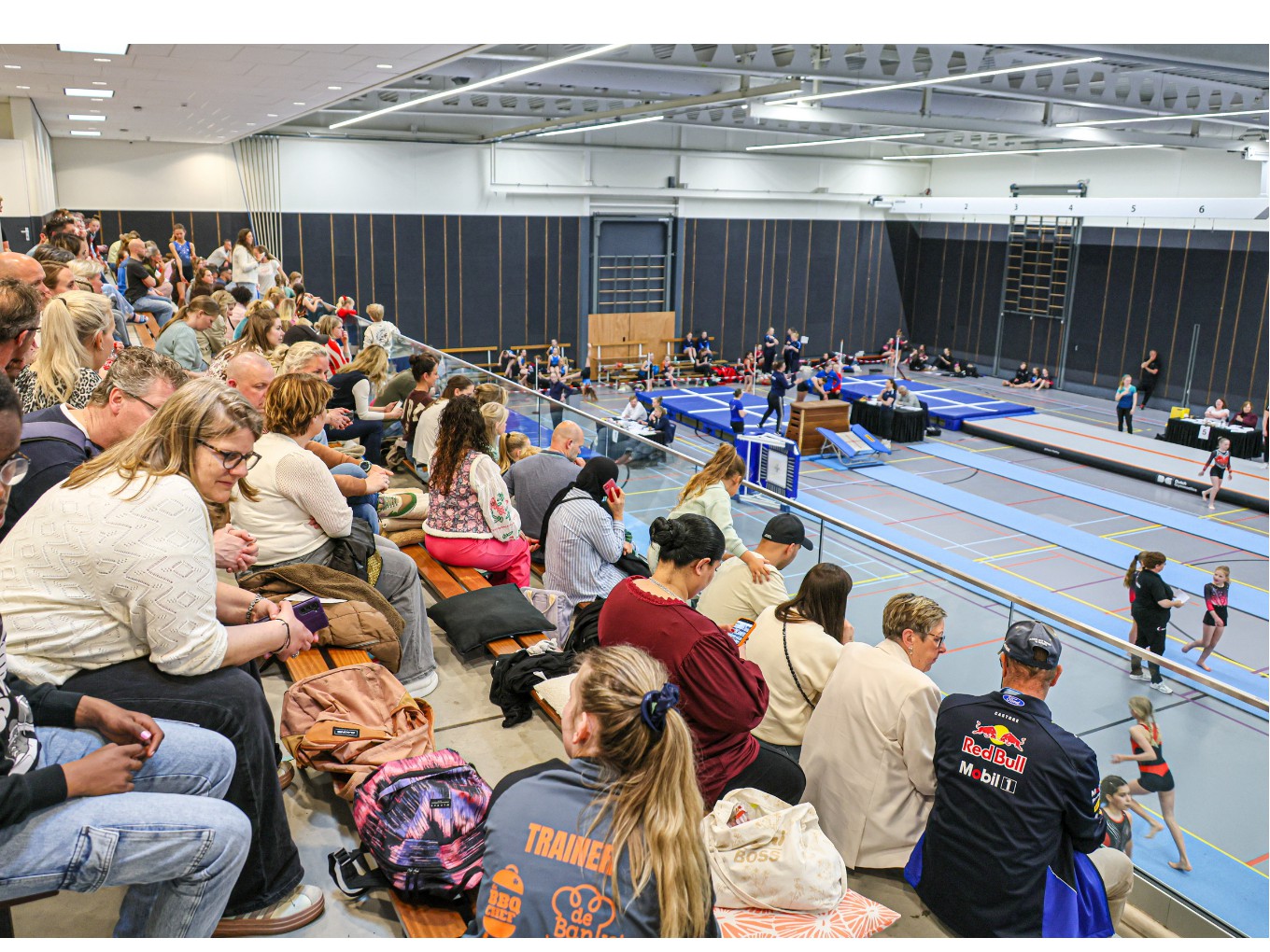 Jeugdturnsters GVN springen naar mooie resultaten in De Spil
