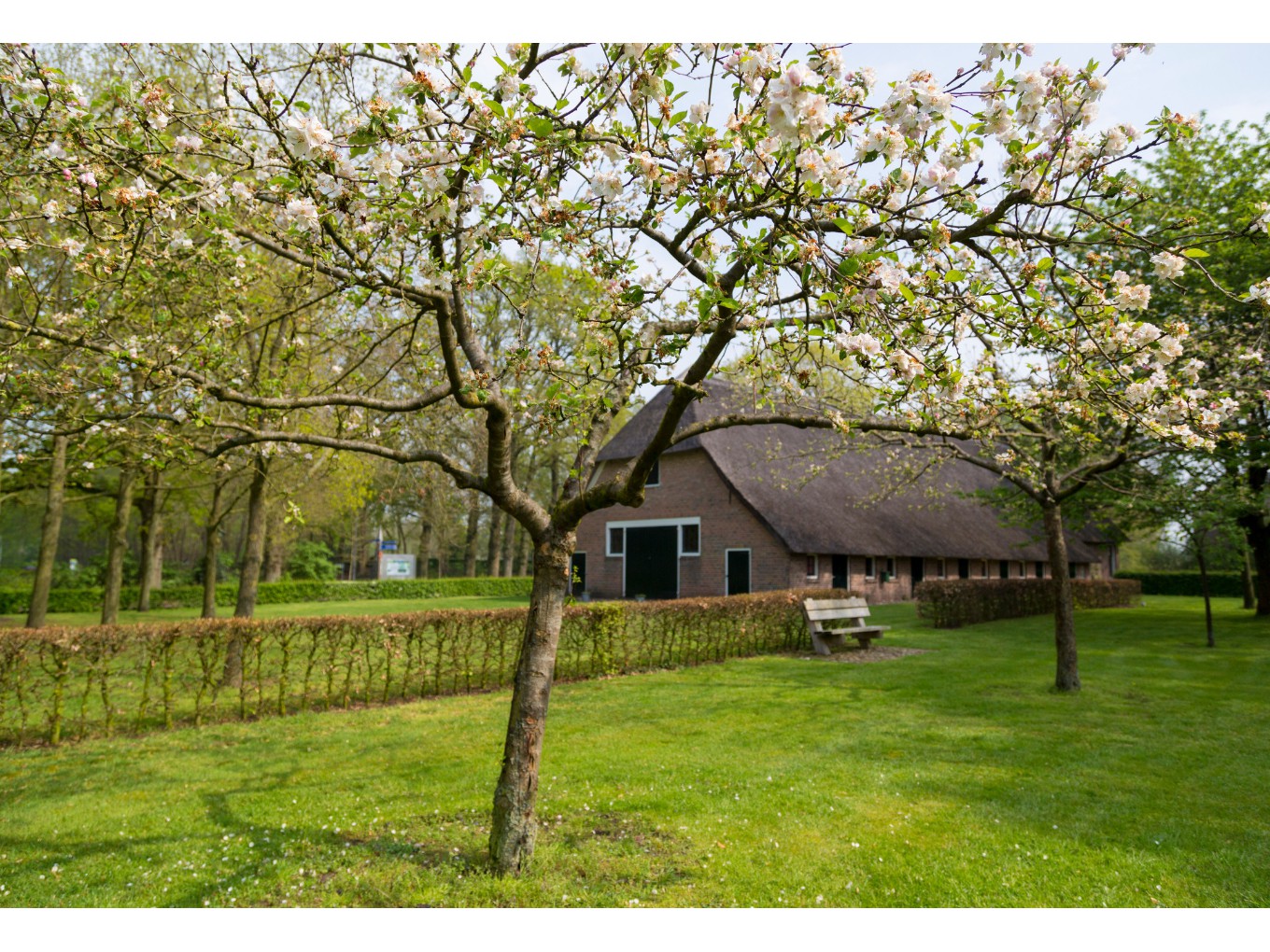 Landschap Overijssel zoekt ondernemer voor De Wheem