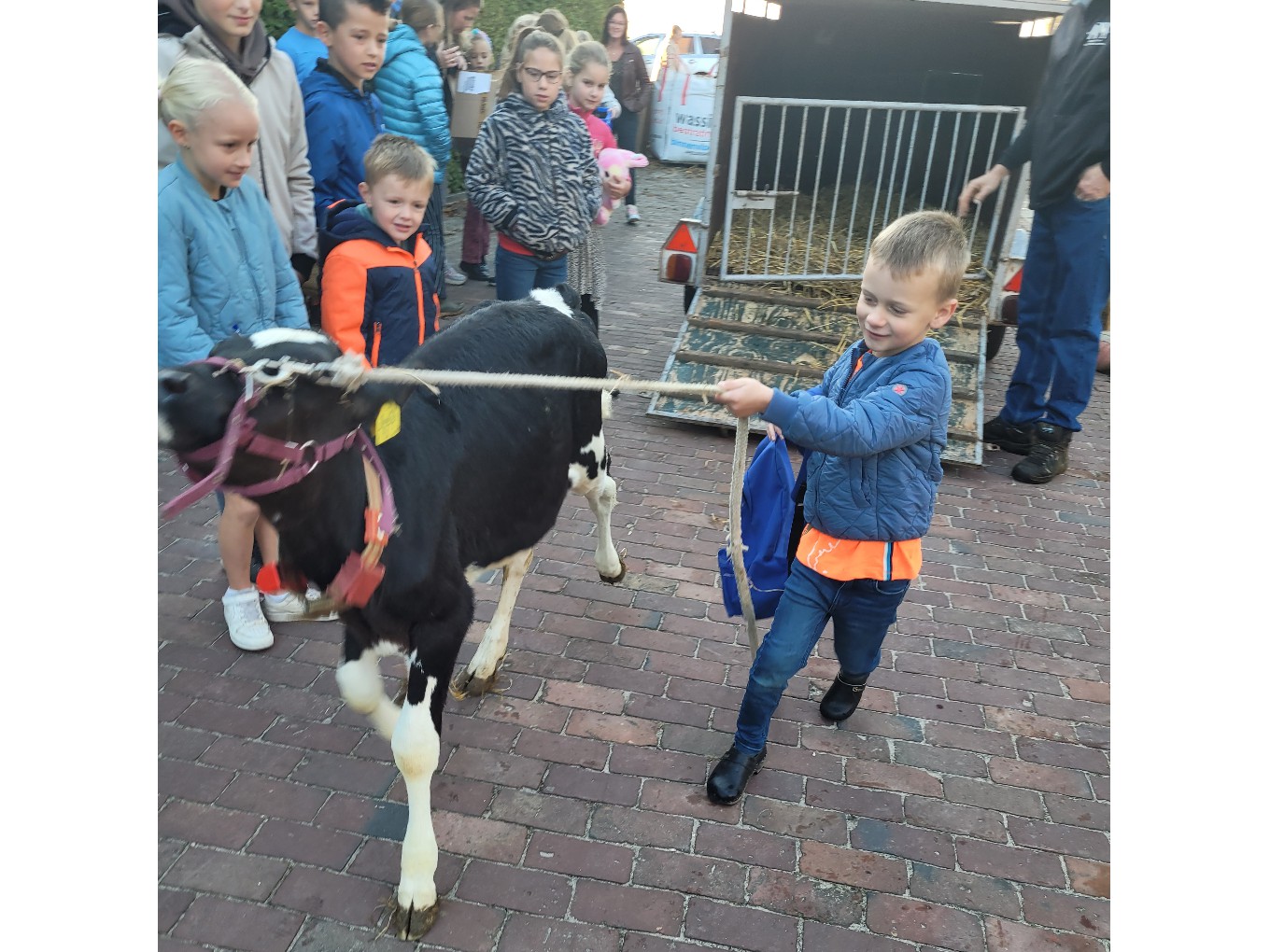 Dierendag op CBS De Meele in Nieuwleusen