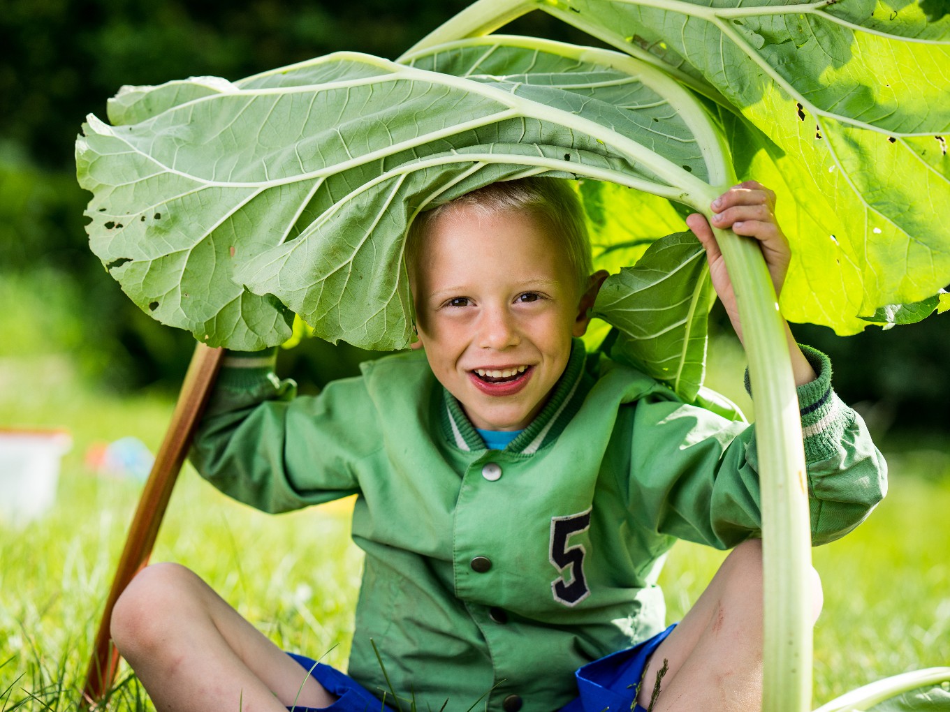 Gratis groentezaad voor basisscholen van Natuur en Milieu