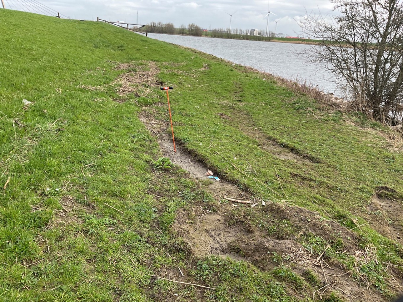 Resultaat dijkinspecties: Dijken liggen er goed bij