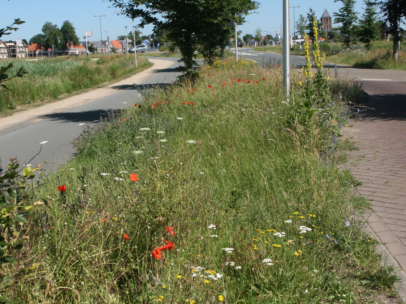 Raad behandelt plannen voor groenere gemeente Dalfsen
