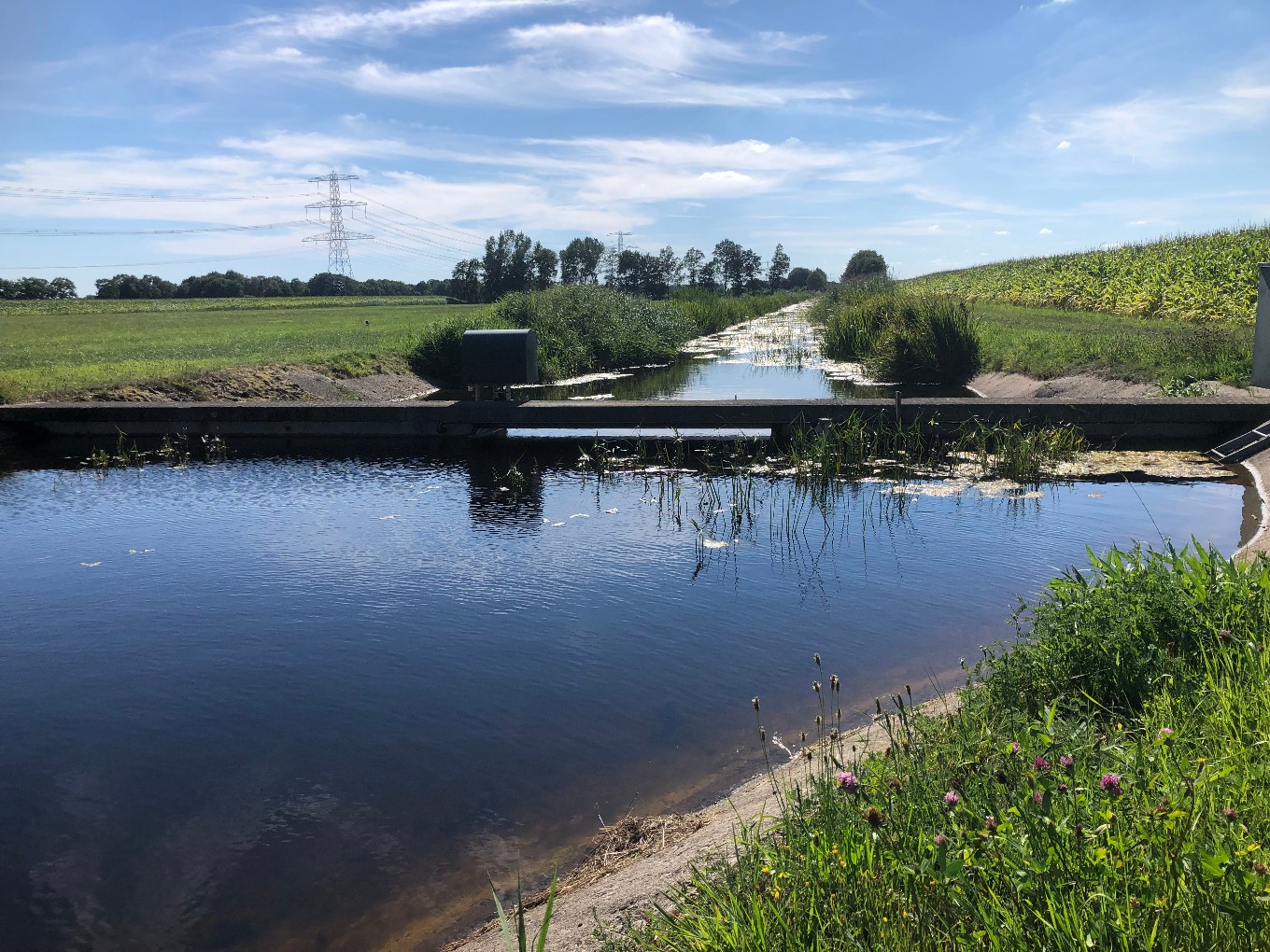 Onttrekkingsverbod water weer opgeheven in Nieuwleusen
