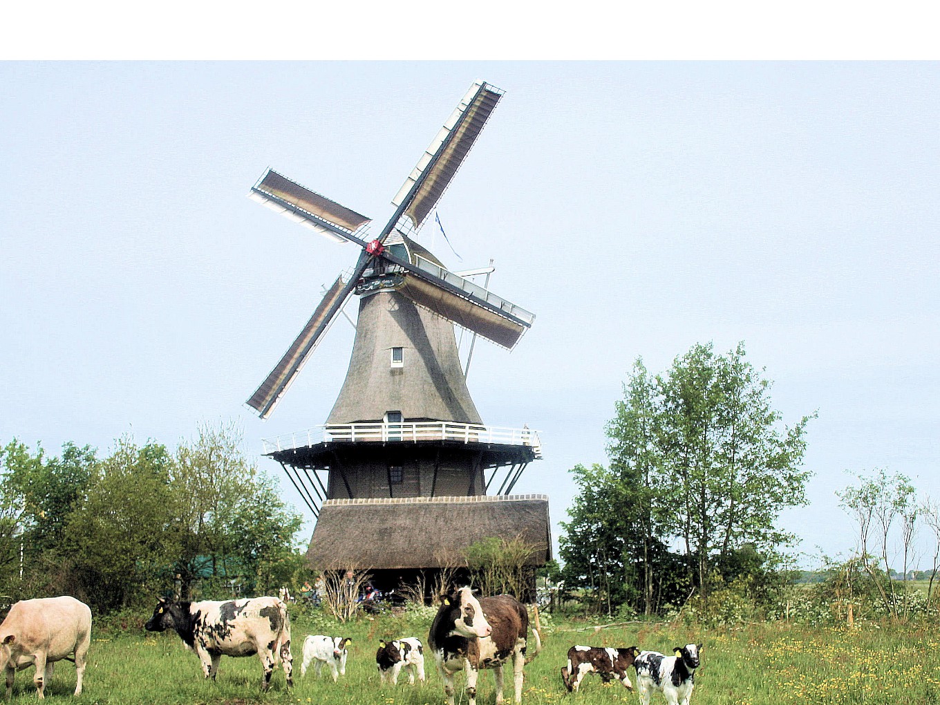 Leer broodbakken in molen De Star Balkbrug