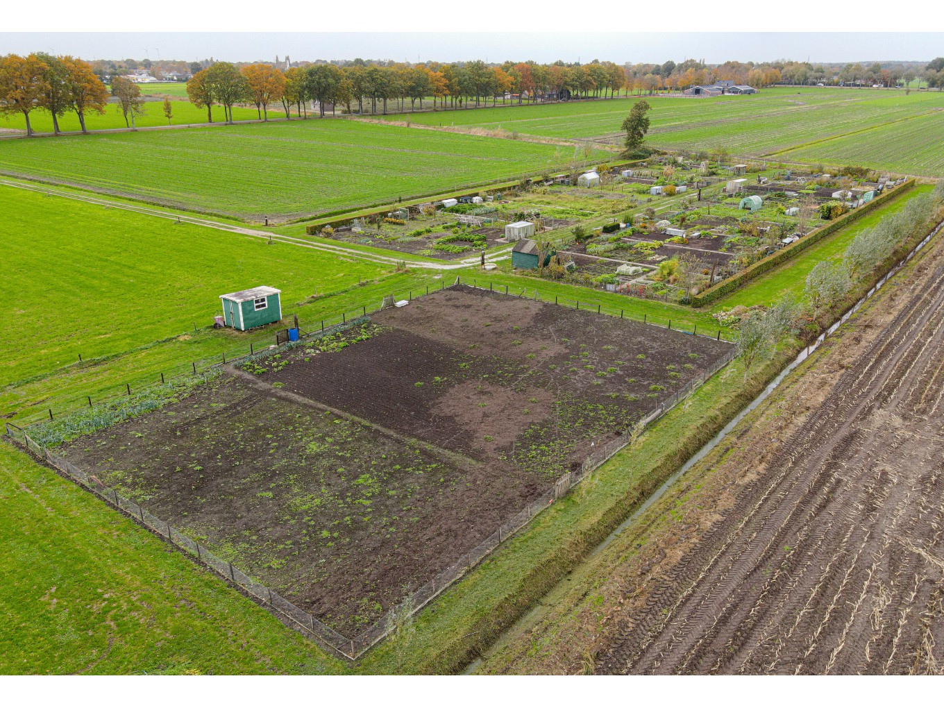 Goede opbrengst van sociale tuin Nieuwleusen