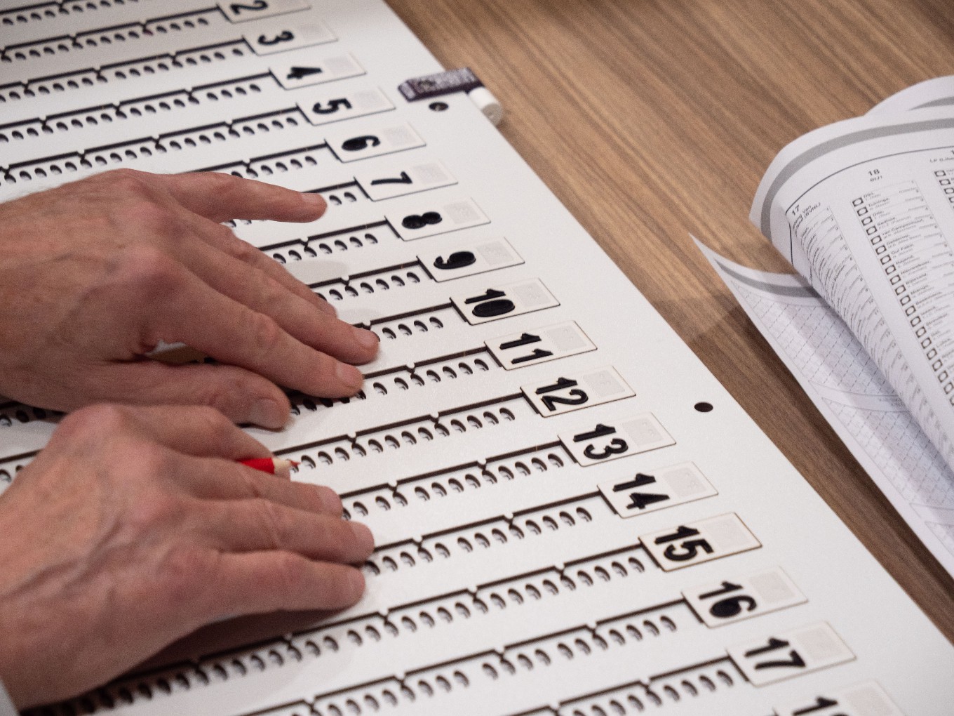 Dalfsen doet proef met stemmal voor visueel beperkten