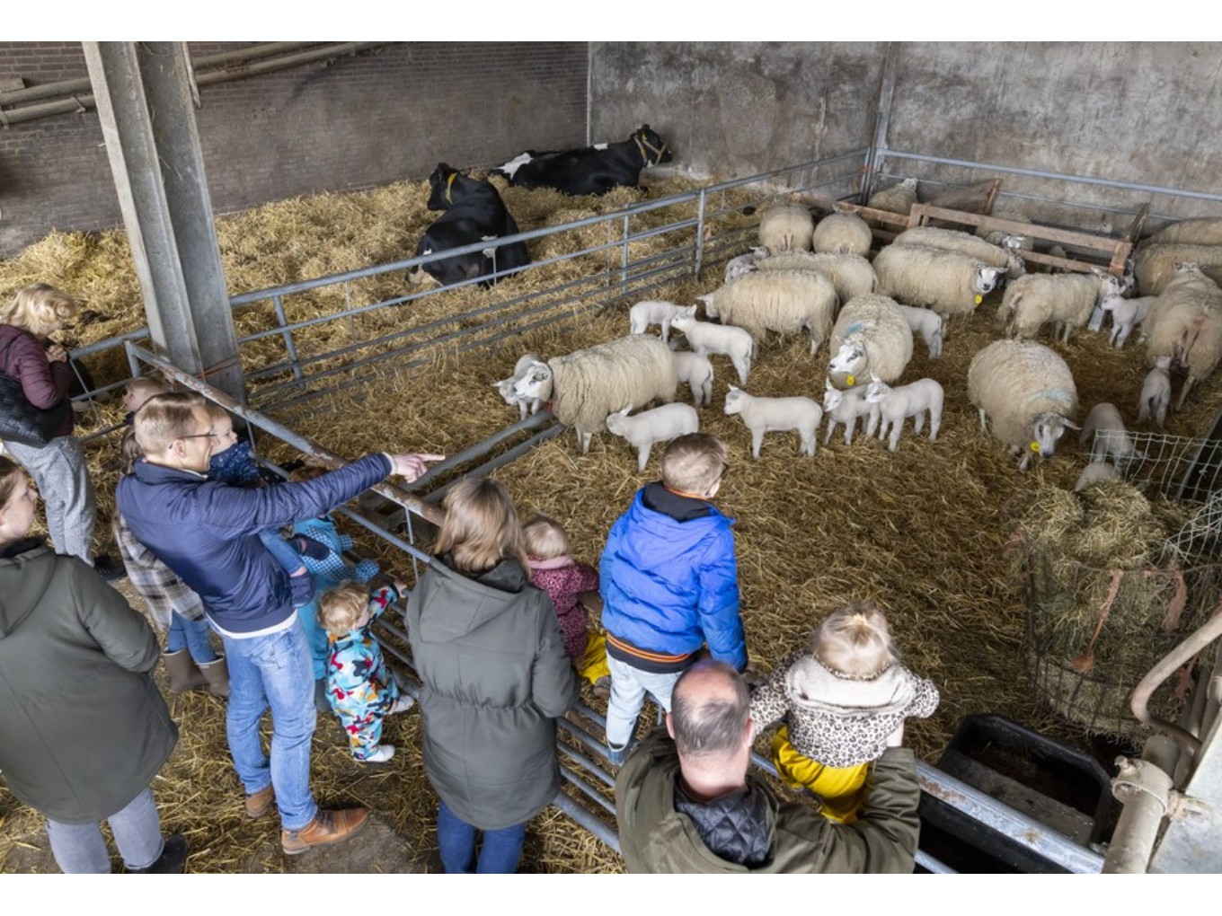 Inspiratieavond Vechtdal: Multifunctionele Landbouw en Korte Ketens