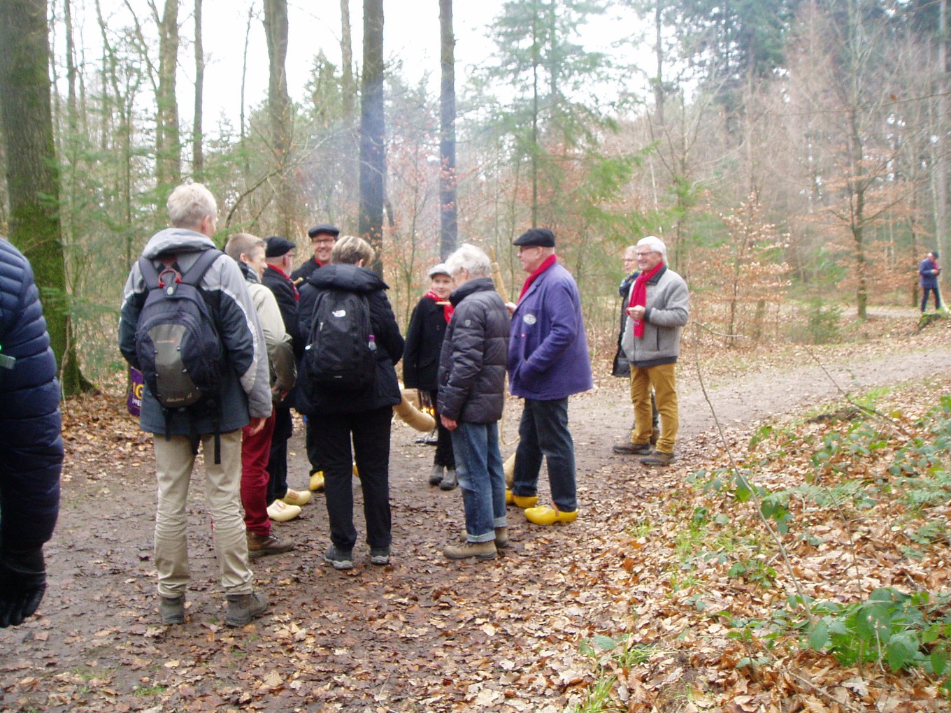 Wandelvereniging Greenshoes zoekt vrijwilligers