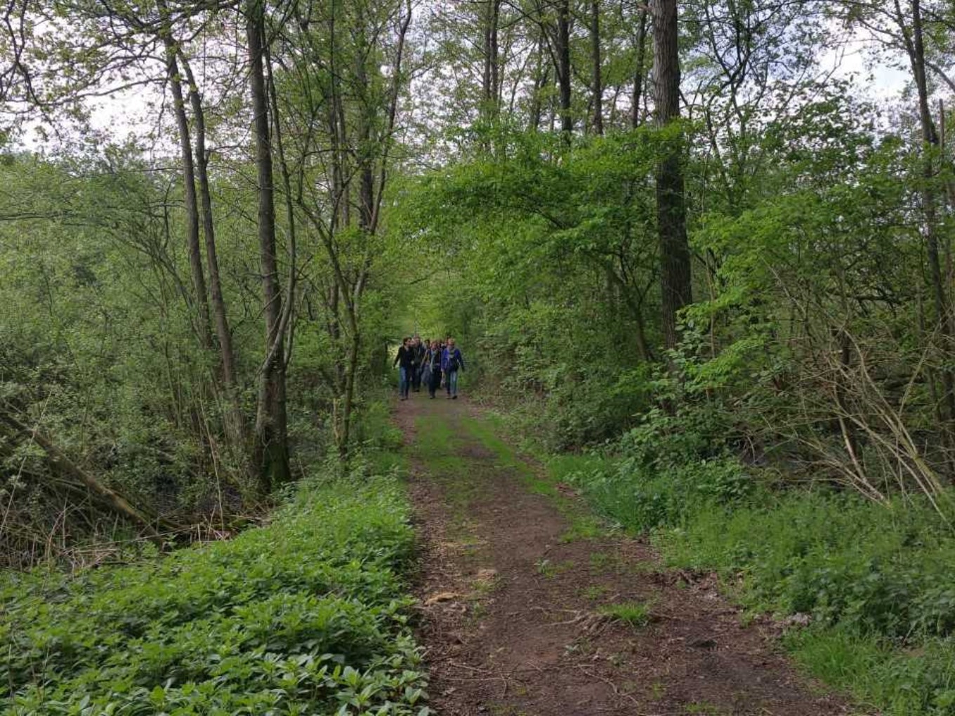 Goede start voor wandelclub WalkieTalkies Vechtdal