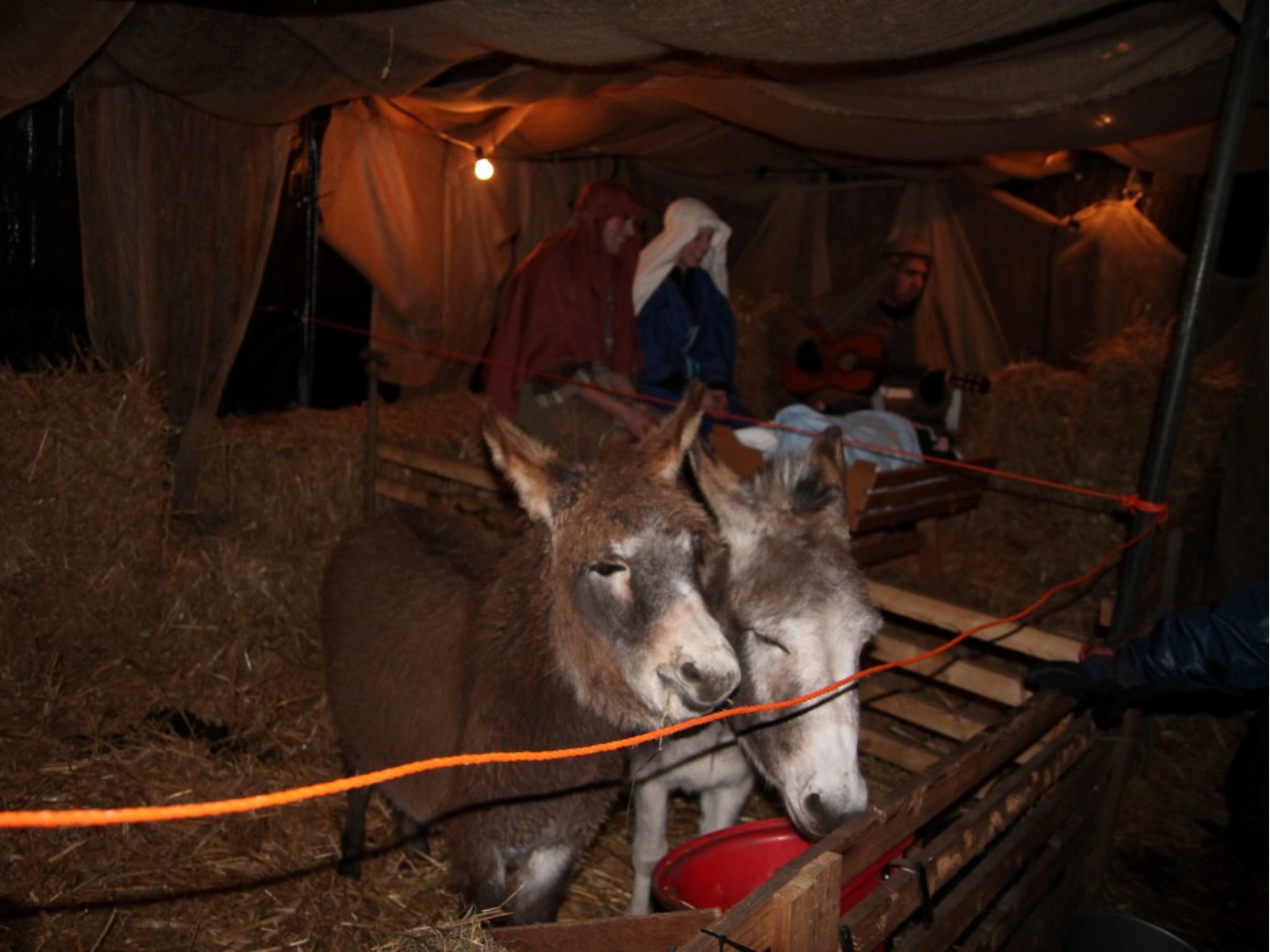 Kerstavond: wandeling Palthebos en kerstnachtdienst