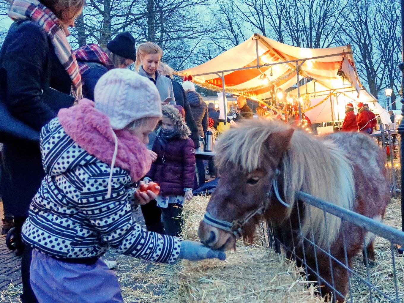 Nieuwe opzet kerstmarkt blijkt een schot in de roos
