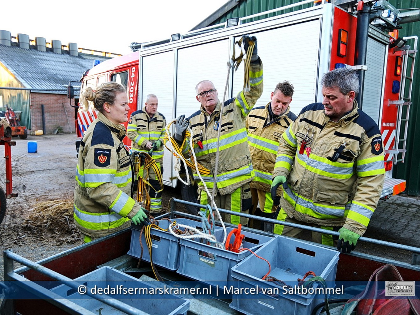Kalveren in mestkelder op boerderij in Oudleusen