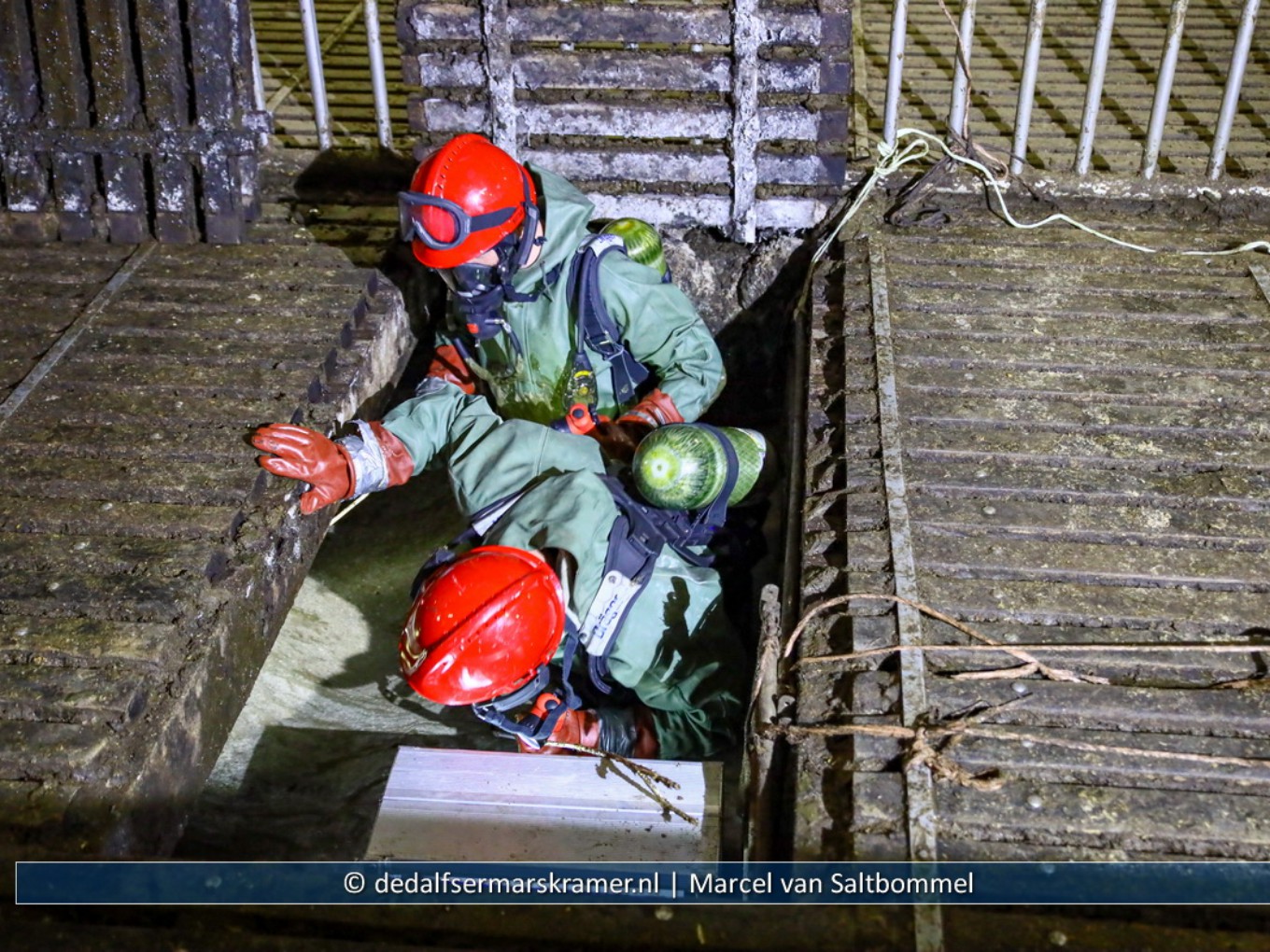 Stieren door brandweer uit mestput gehaald
