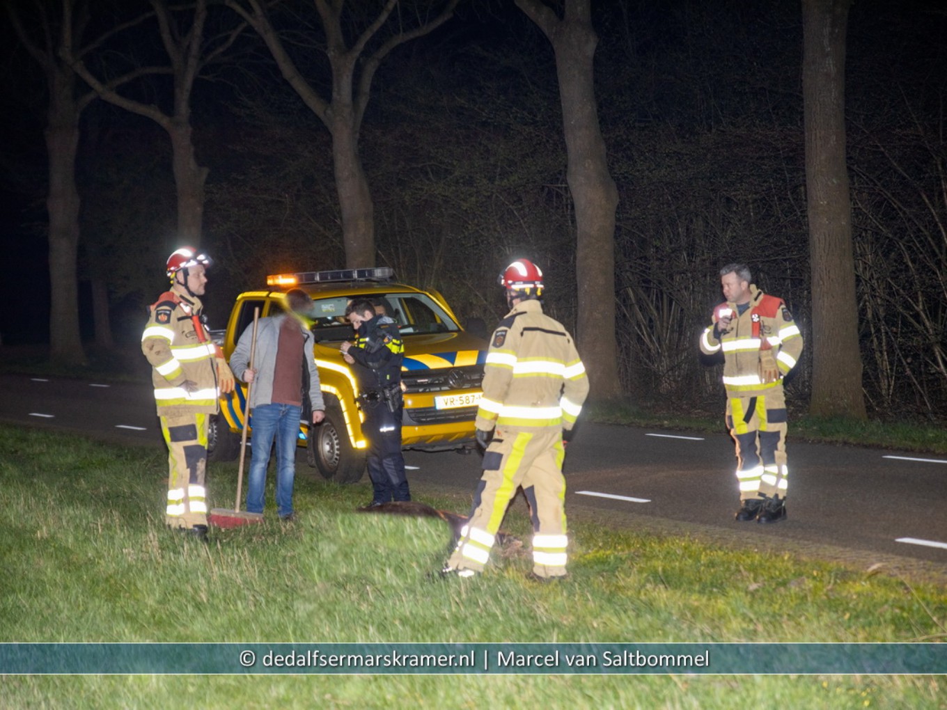 Twee pony's overleden na aanrijding op de N377 in Nieuwleusen