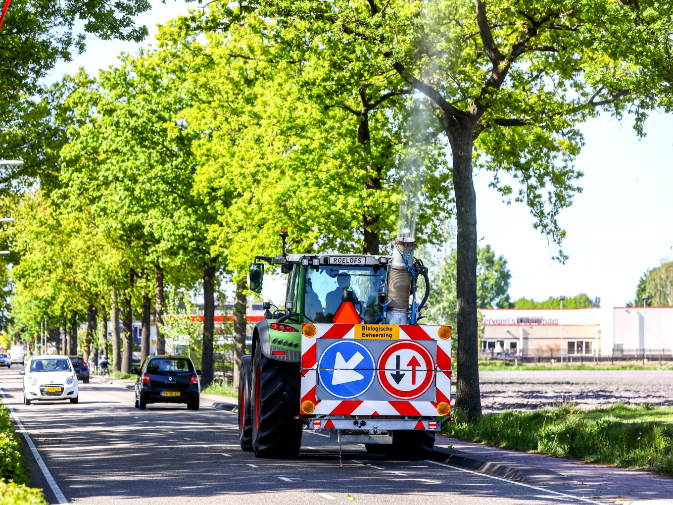 Gemeente raadt alternatieve bestrijding tegen processierups af