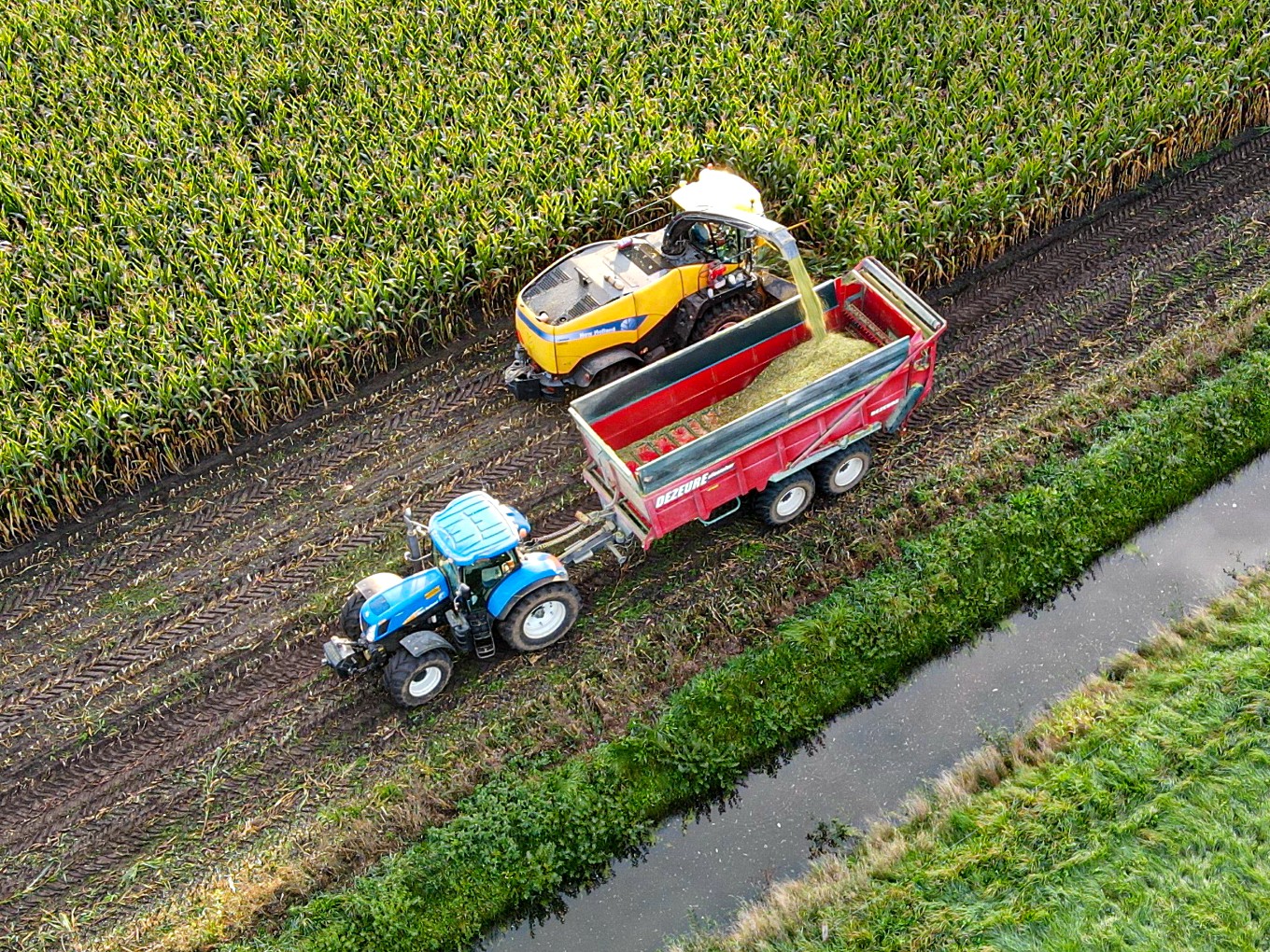 Topdrukte bij de loonbedrijven om alle maïs van het land te krijgen