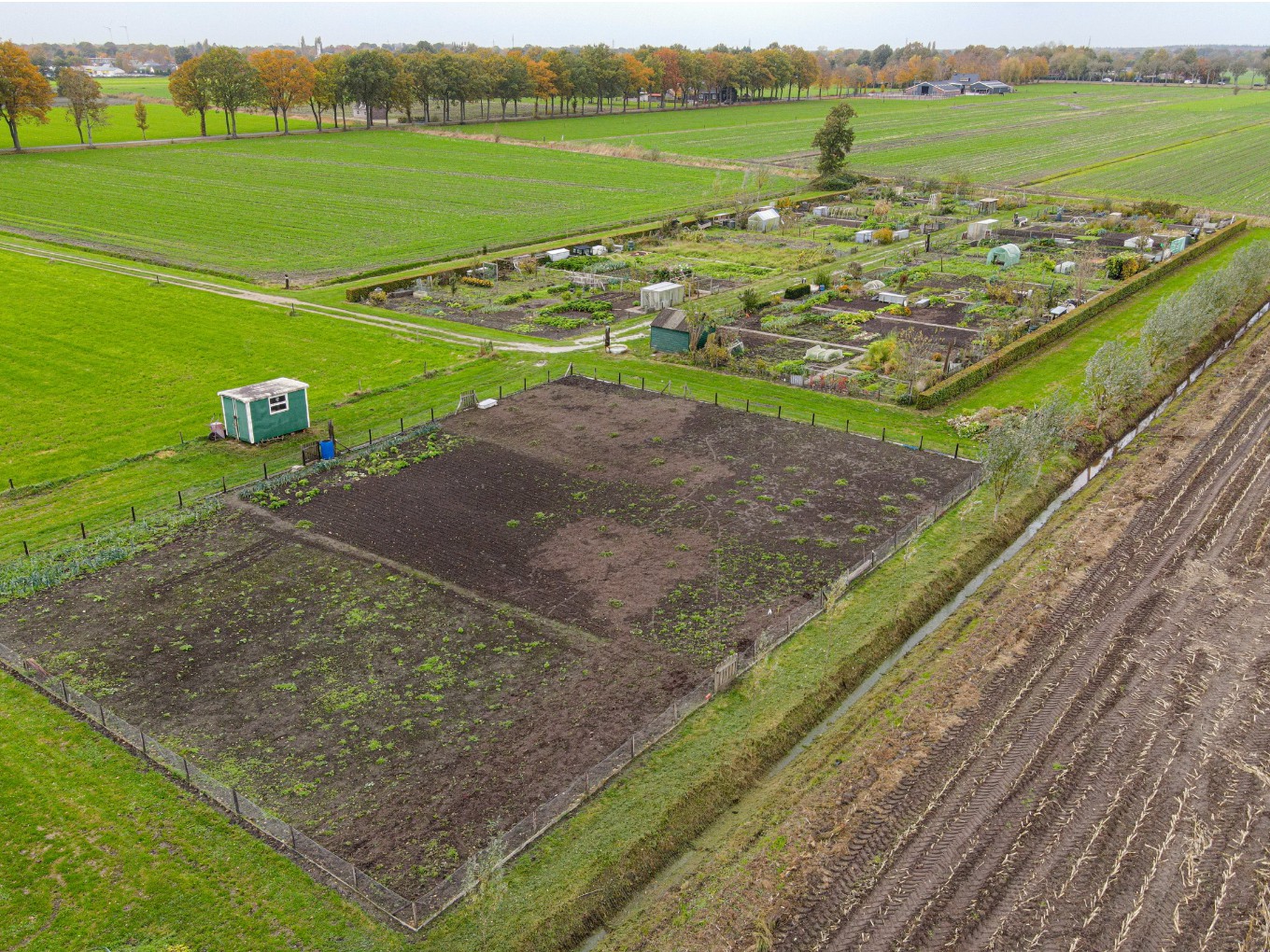Taart van D66 voor Valentijnsdag 2021 gaat naar de Sociale Tuin
