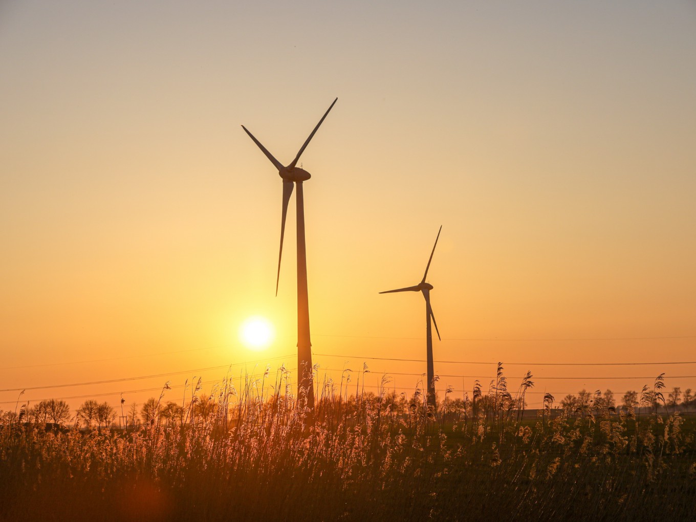 Nieuwleusen Synergie cancelt ‘windmolenfeest’