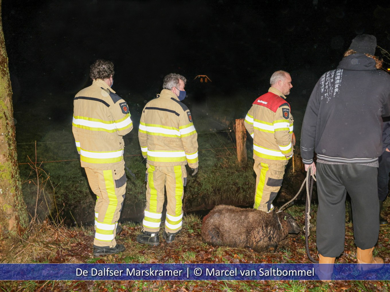 Brandweer rukt uit voor schaap te water