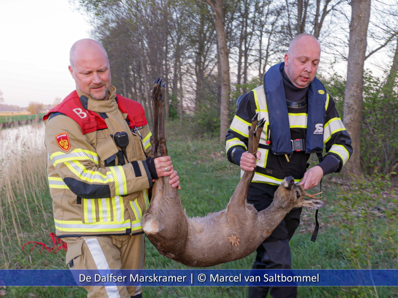 Brandweer haalt twee reetjes uit het water